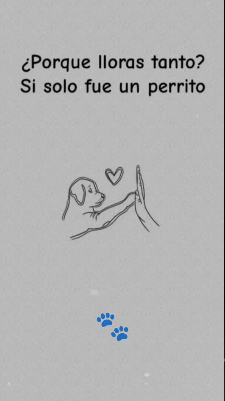 @More🖤💝💙