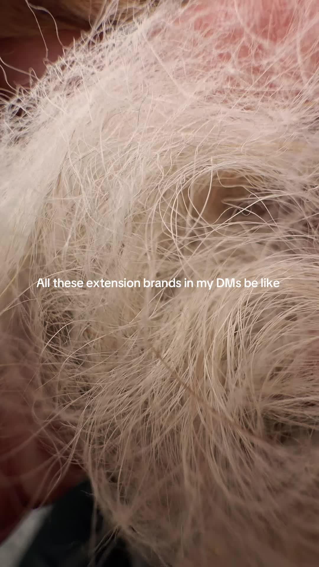 @Julia | MN Hairstylist