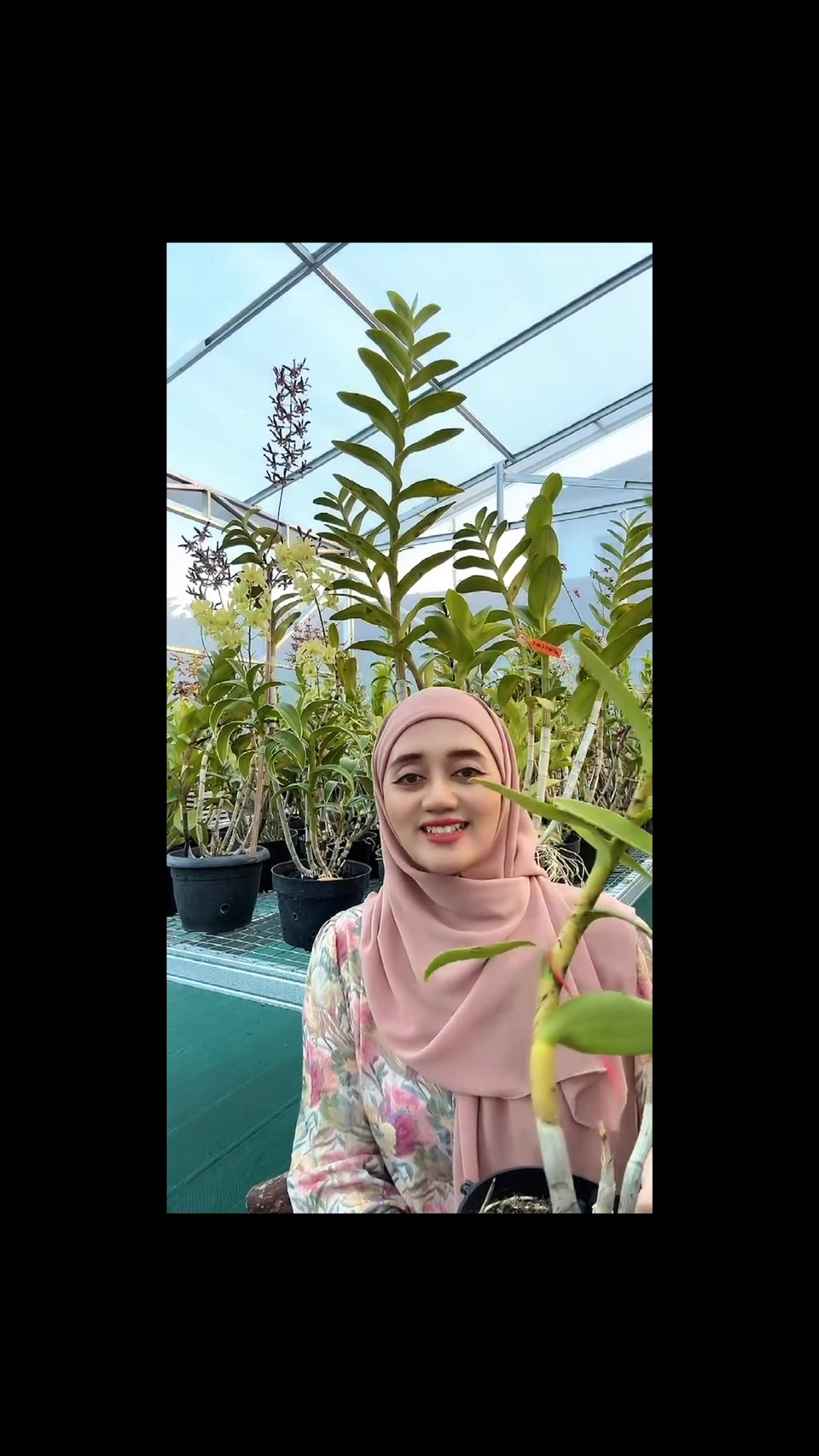 @Anggina Orchid