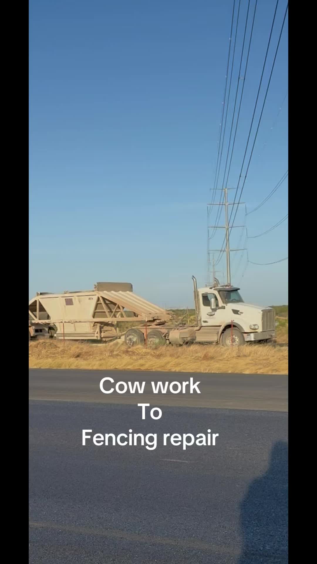 @Carolyn Halsell Smea