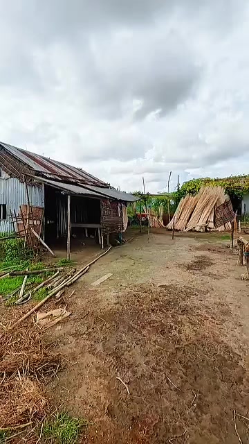 @🤲🤲আলহামদুলিল্লাহ 🤲🤲