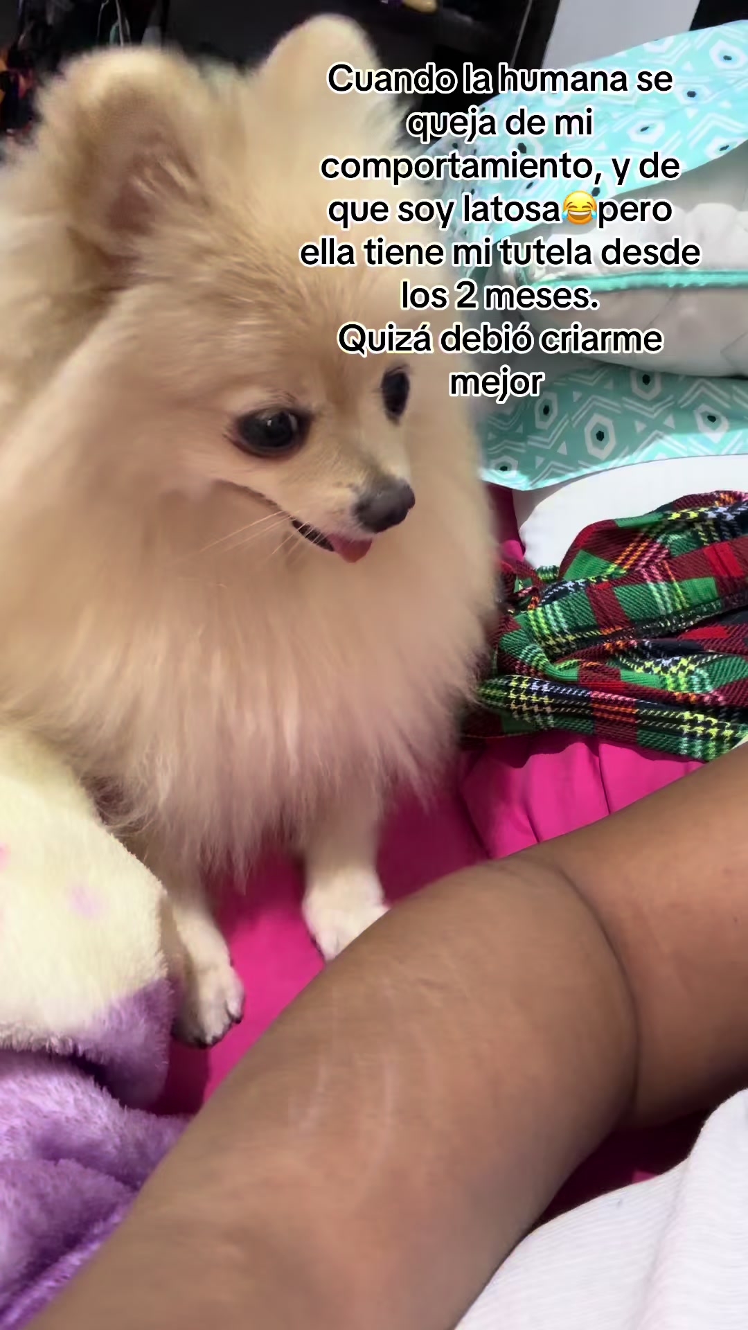 @ALE GUEDEA