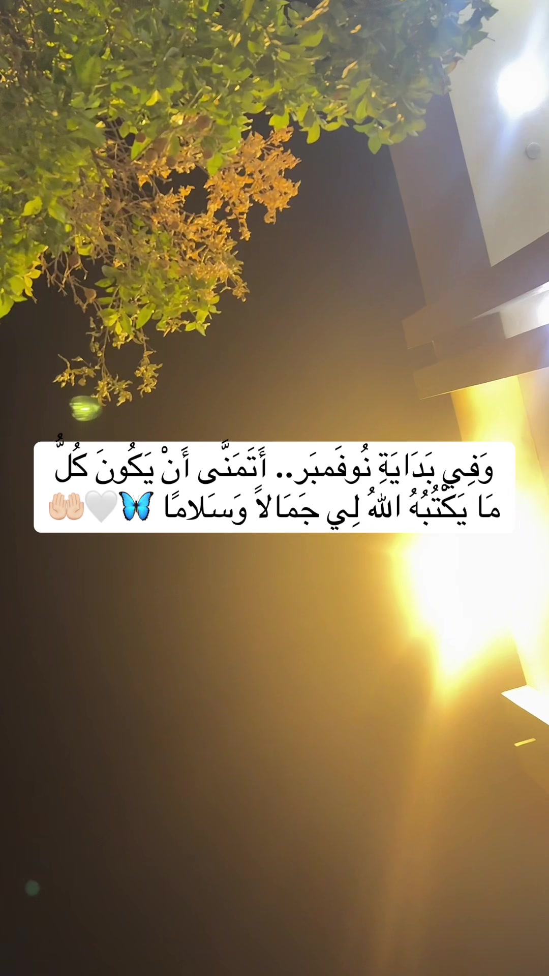 @️Mustaf♍️