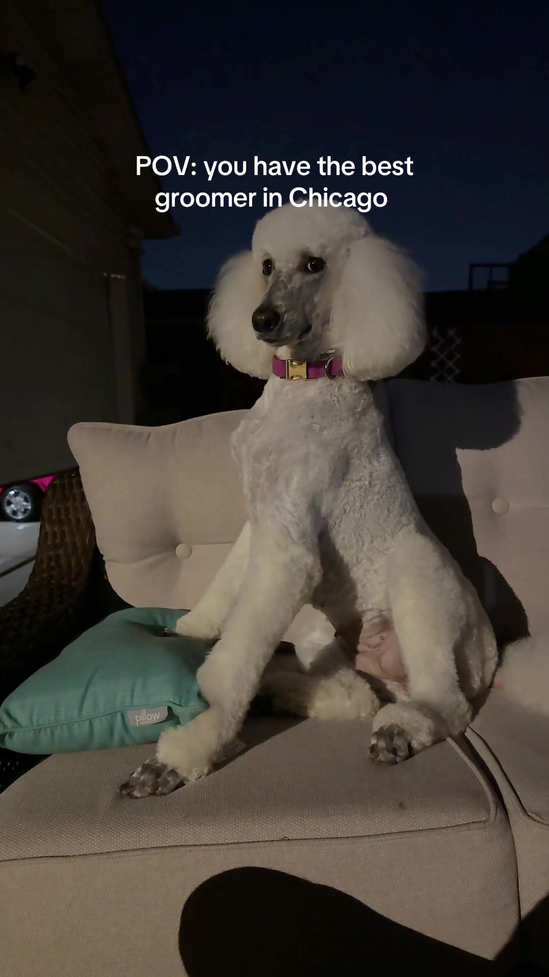@packwalkdiaries