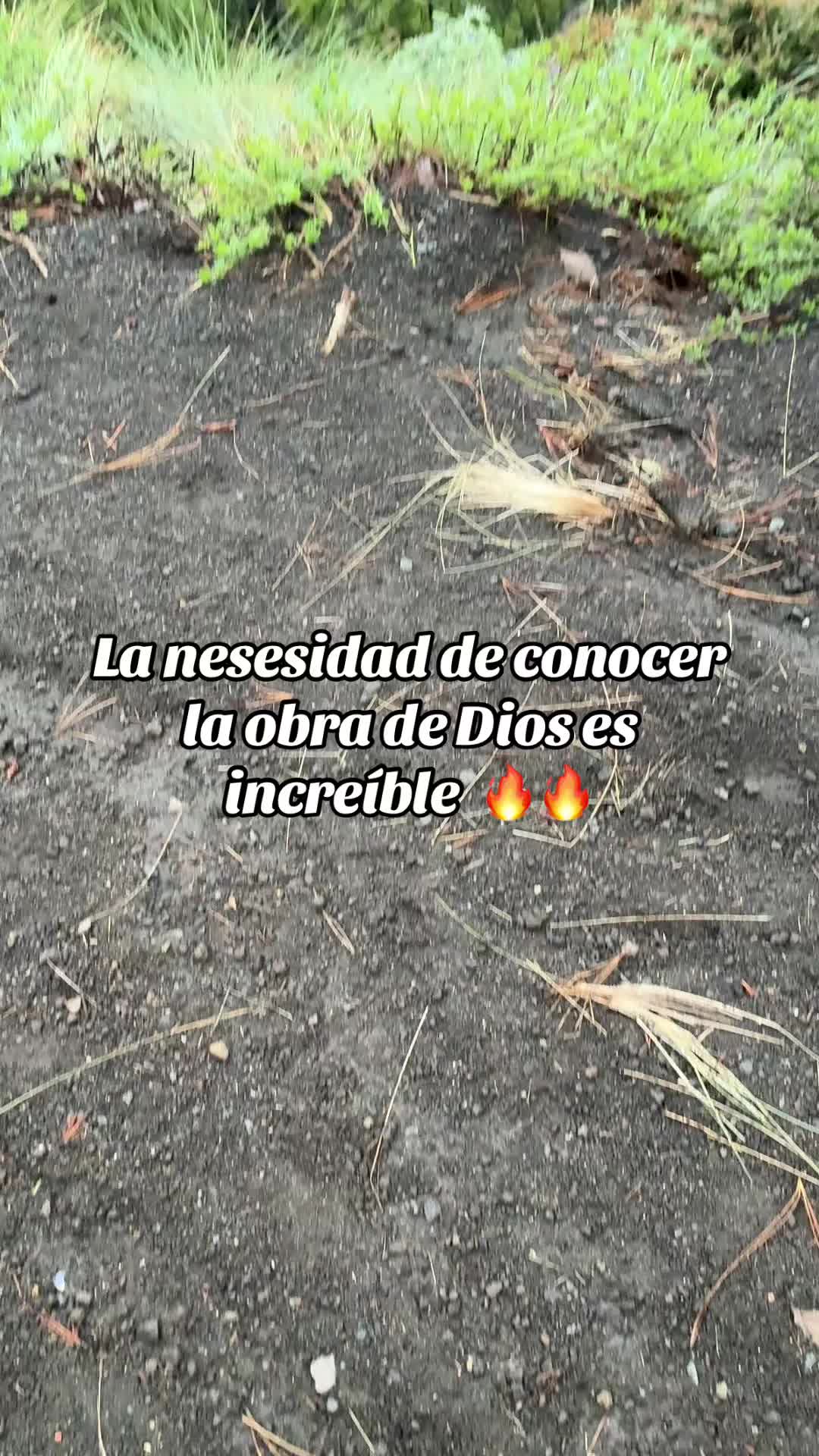 @estuardosantos🫡🇺🇸🇬🇹