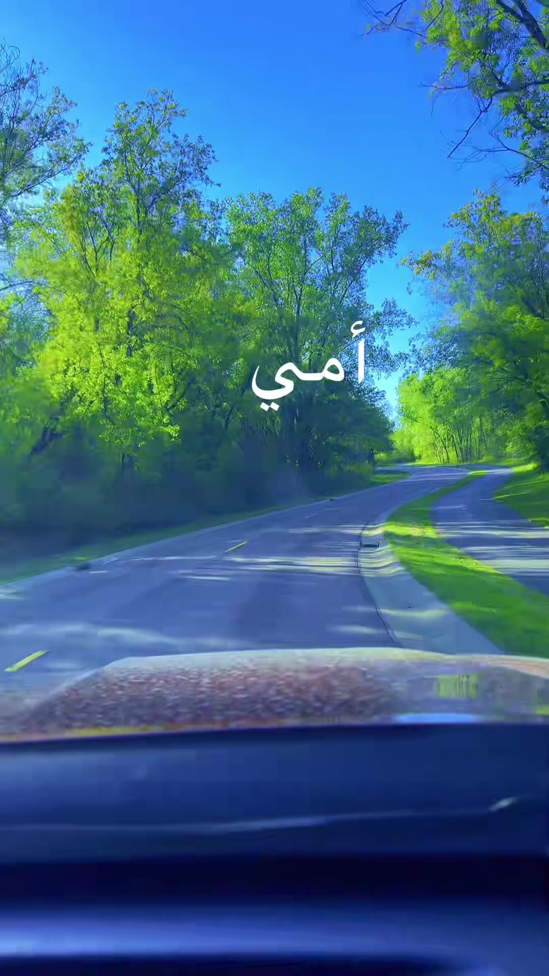 @Galma khiyyaa💗ገልመ ኪያ🇪🇹🇺🇸