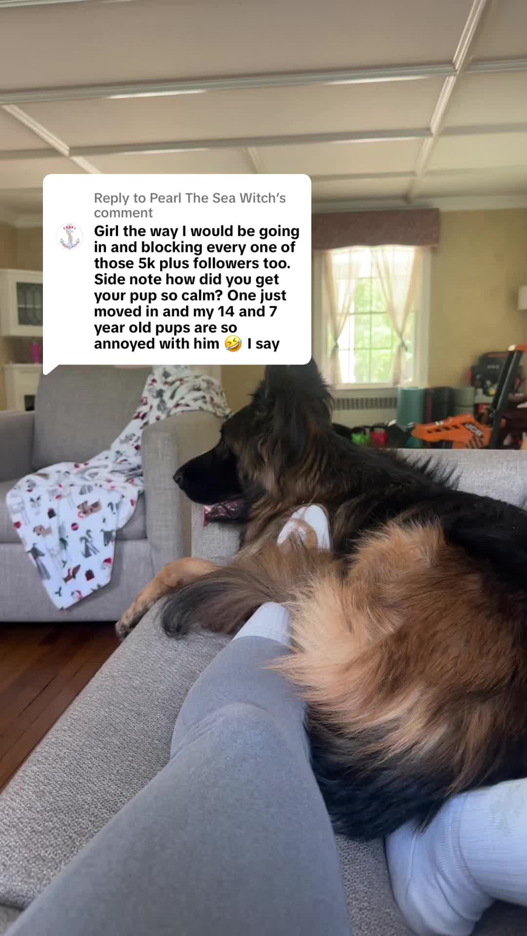 @TinySuburbanFarm