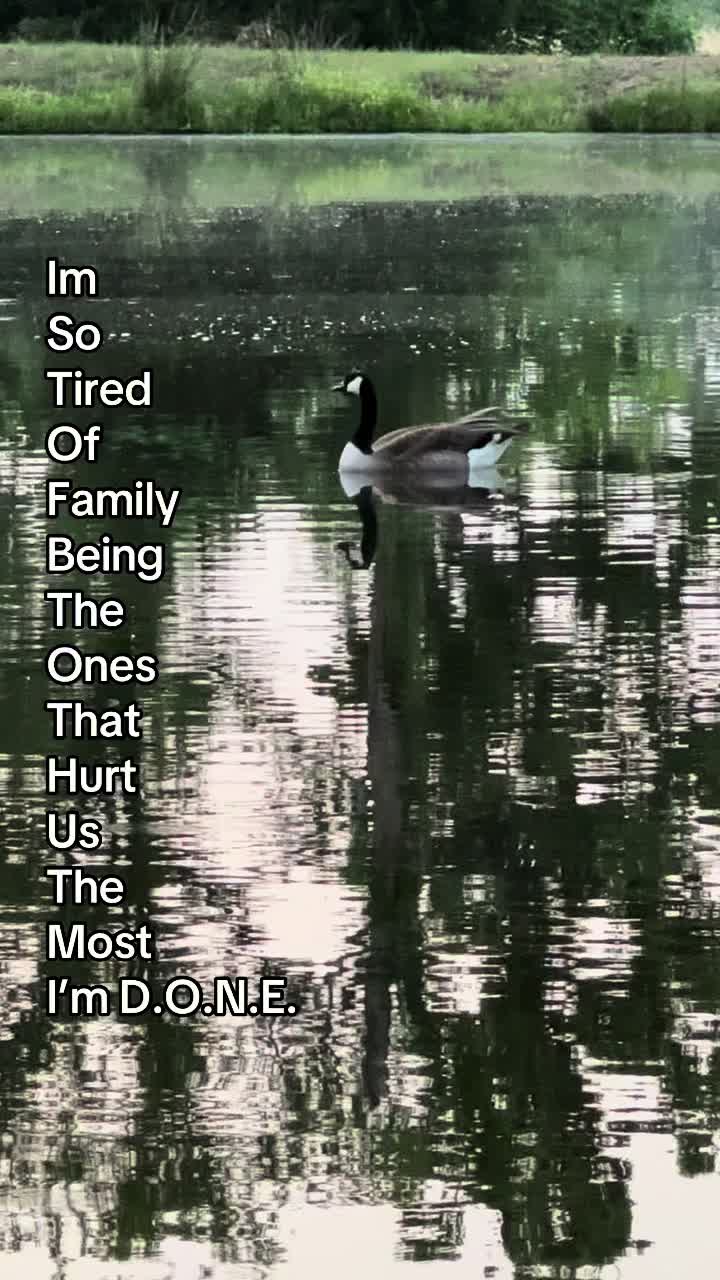 @Bambi