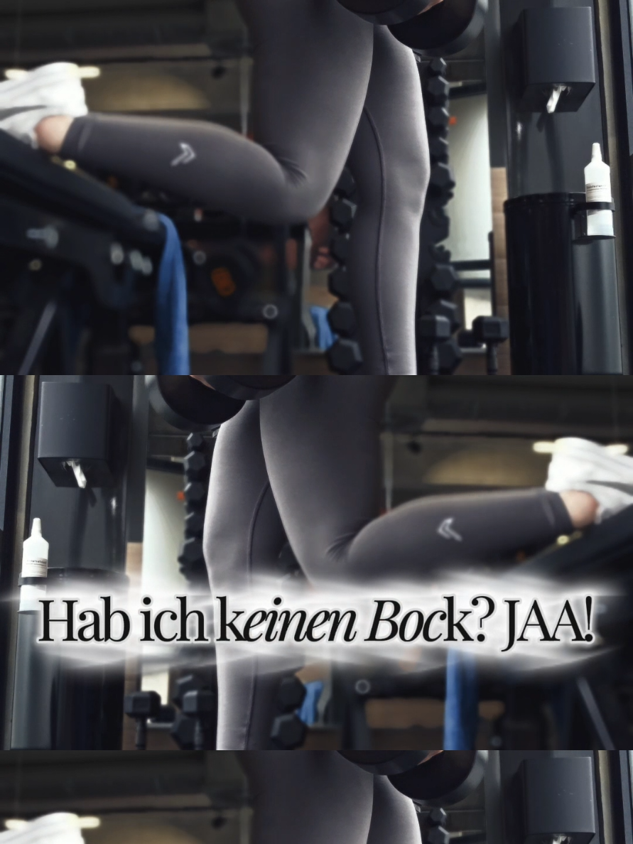 @Melii  | Konzerte🎶&Fitness 💪