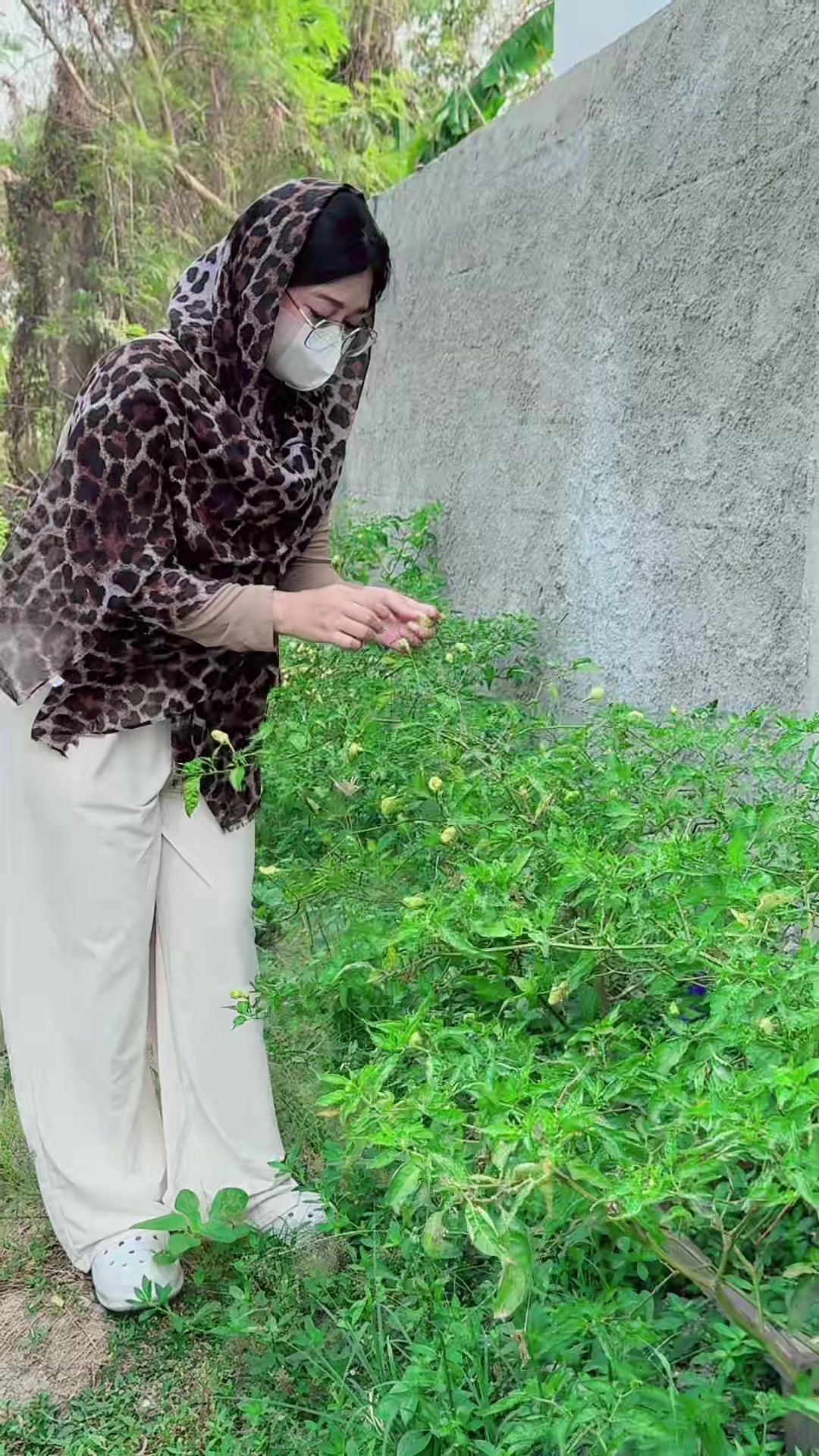 @𝐀𝐲𝐮_𝐑𝐚𝐡𝐚𝐧𝐢