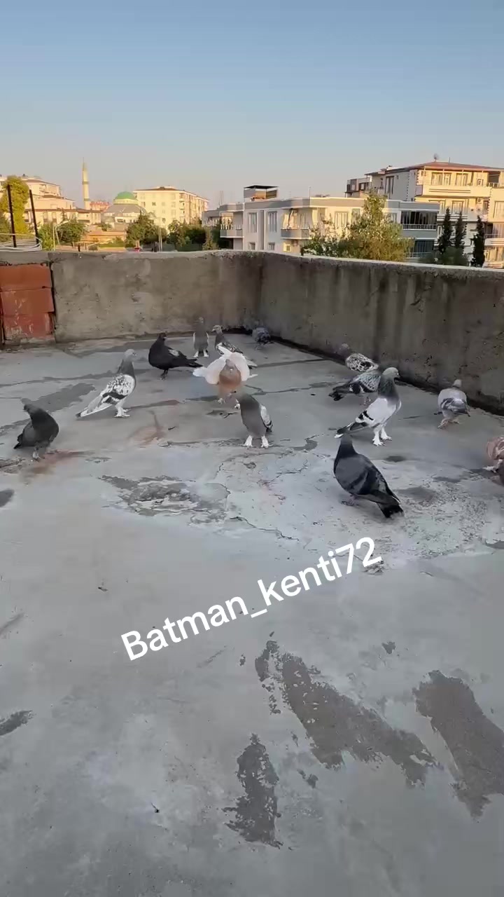 @Batman_kenti72
