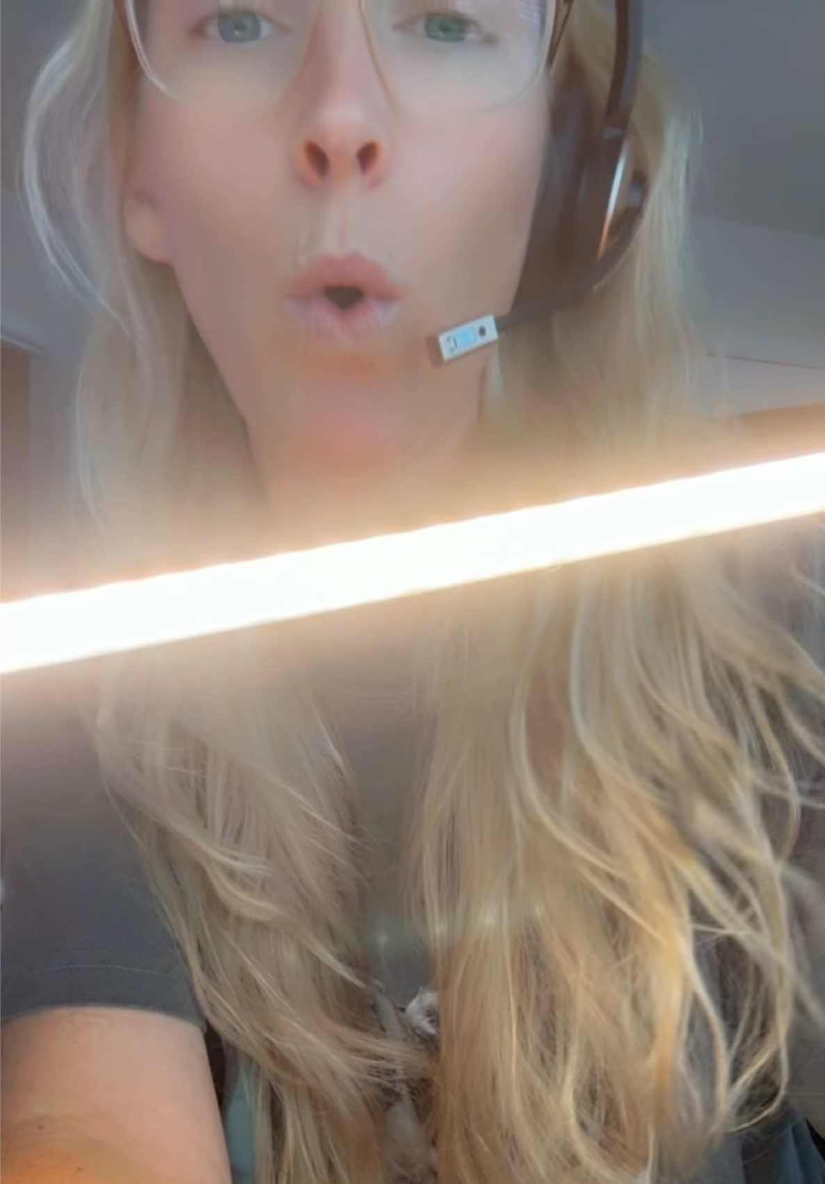 @leeanimal_