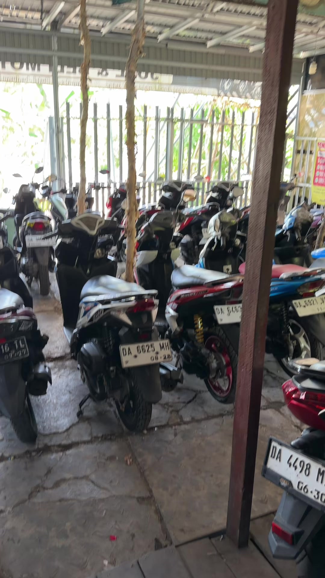 @pengepulmotortim