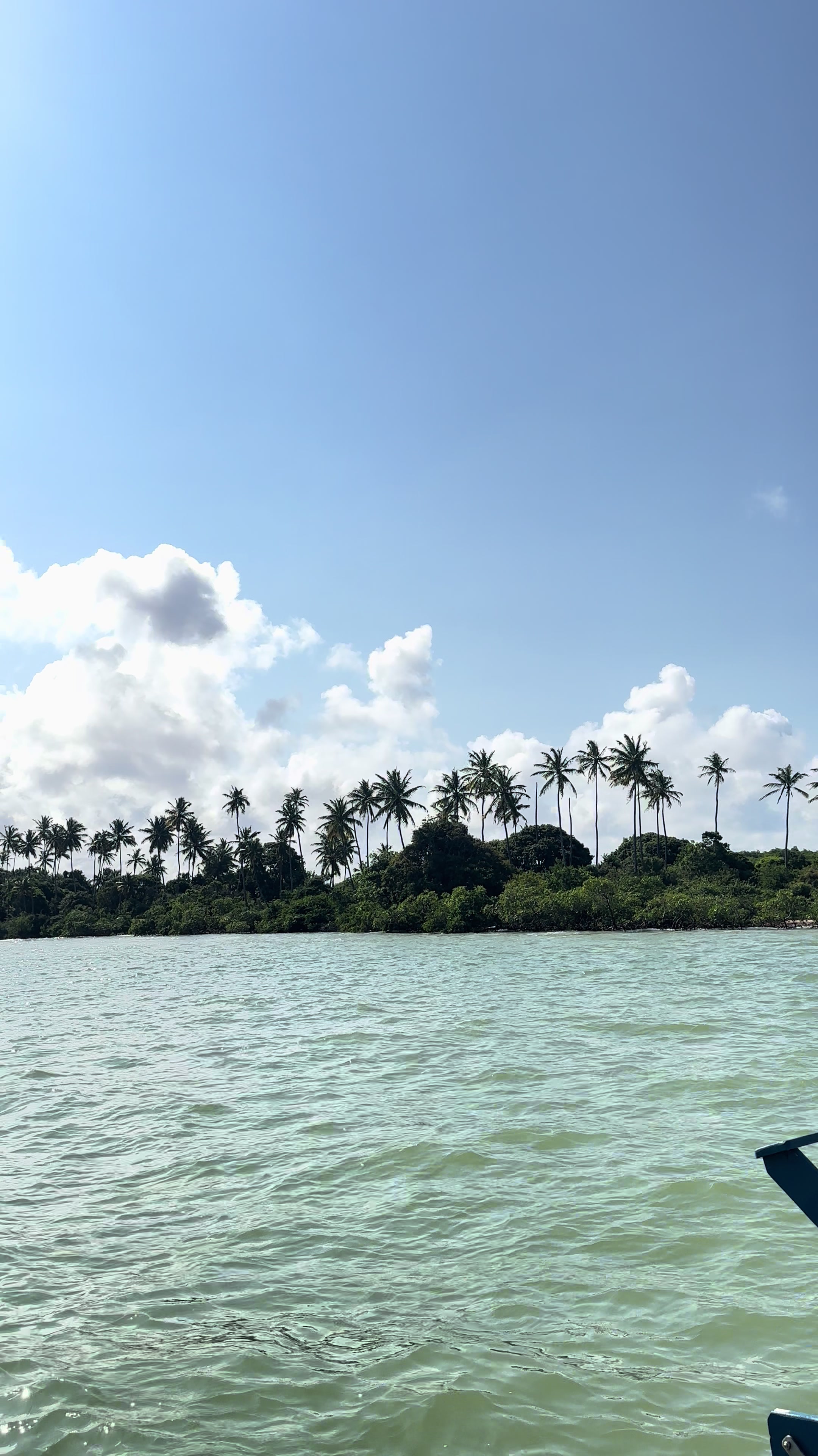 @Tays Moreira