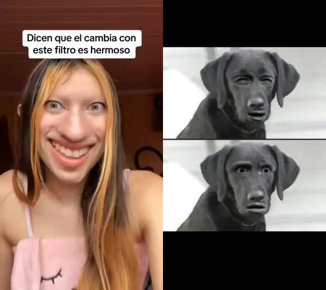 @perrowhat
