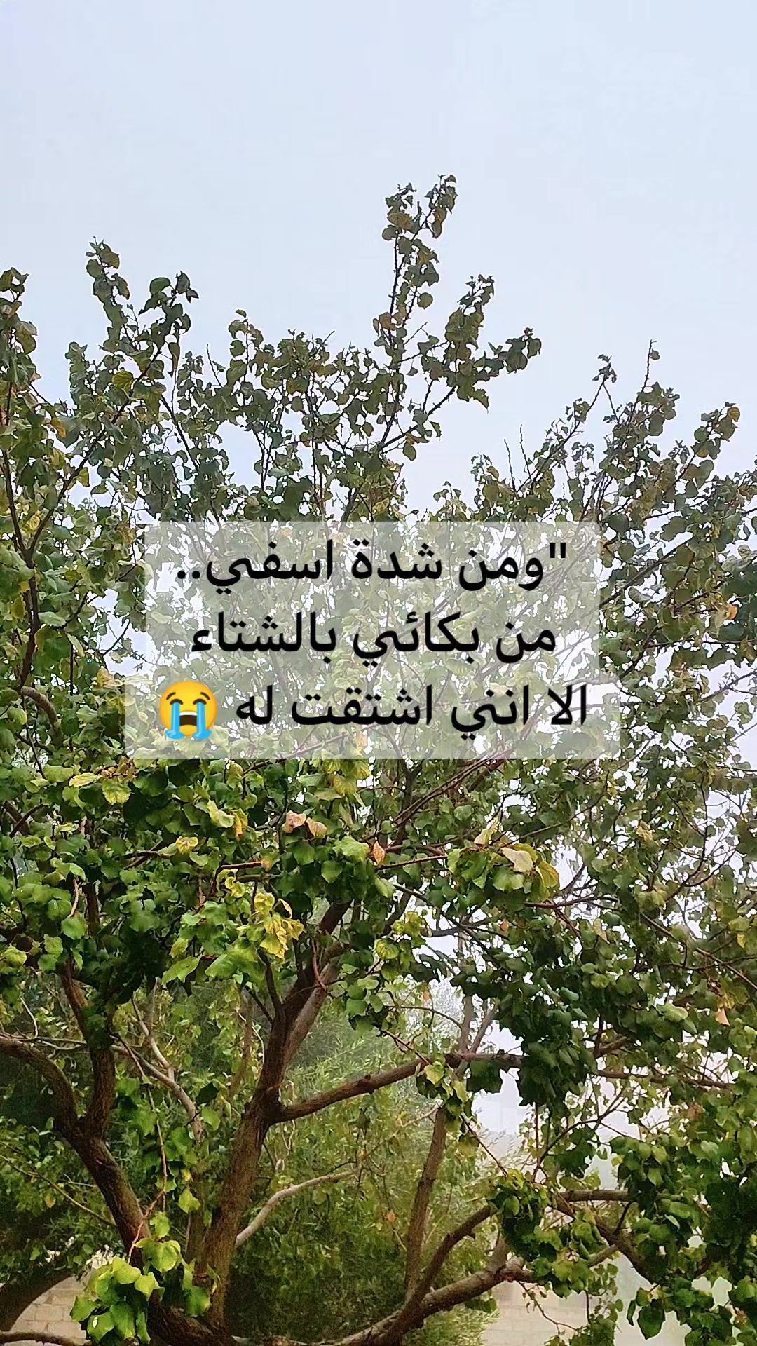 @فادية🦋