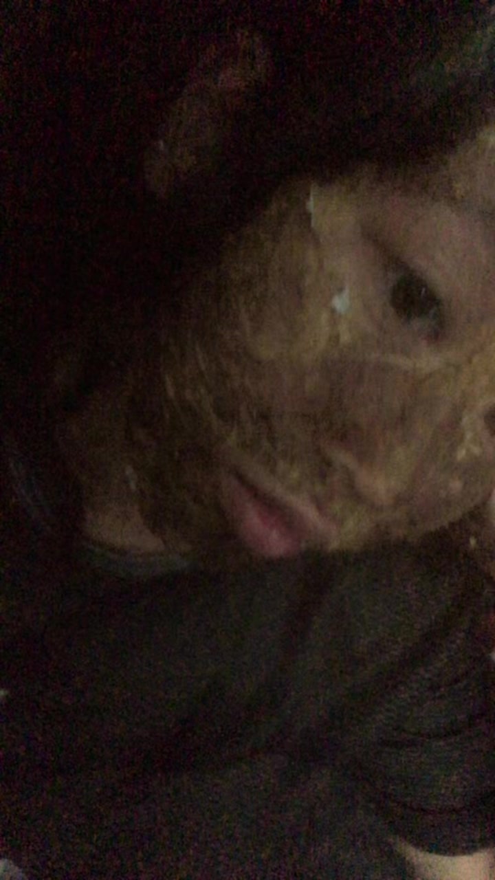 @It’s me Ash_ley💞🤣