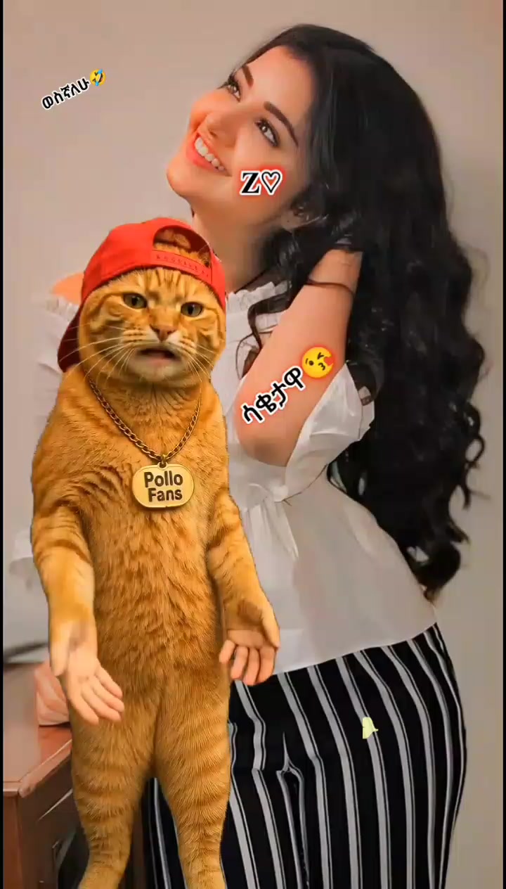 @♣Zโ แแ๐แจแแ
แญ_แฐแโฅ๏ธแฅแ
แตแแต๐
ข๏ธ๐๐
ฉ๏ธ