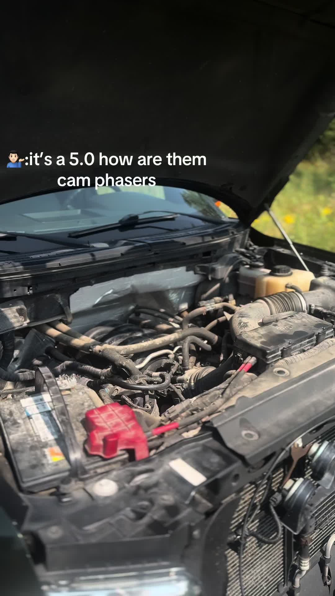 @greeny5.0