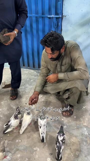 @استاد اعجاز چٹھہ گروپ🕊️❤️