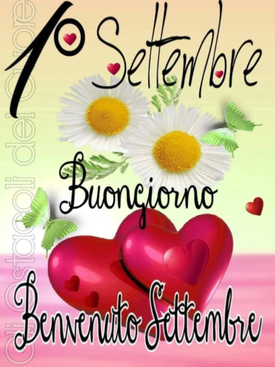 @caterinabiamonte kate
