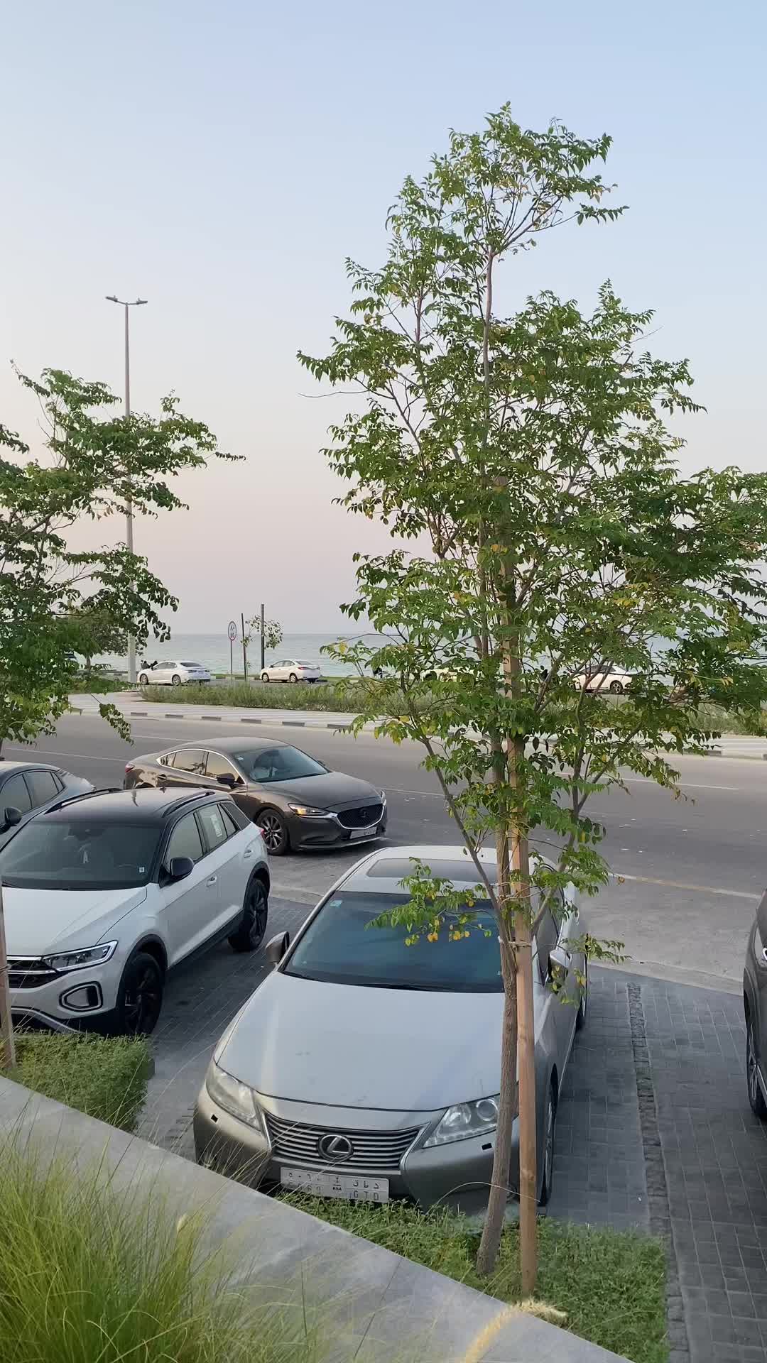 @ghadeer_689