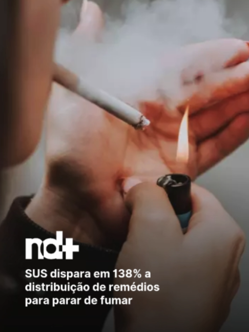 @portalndmais