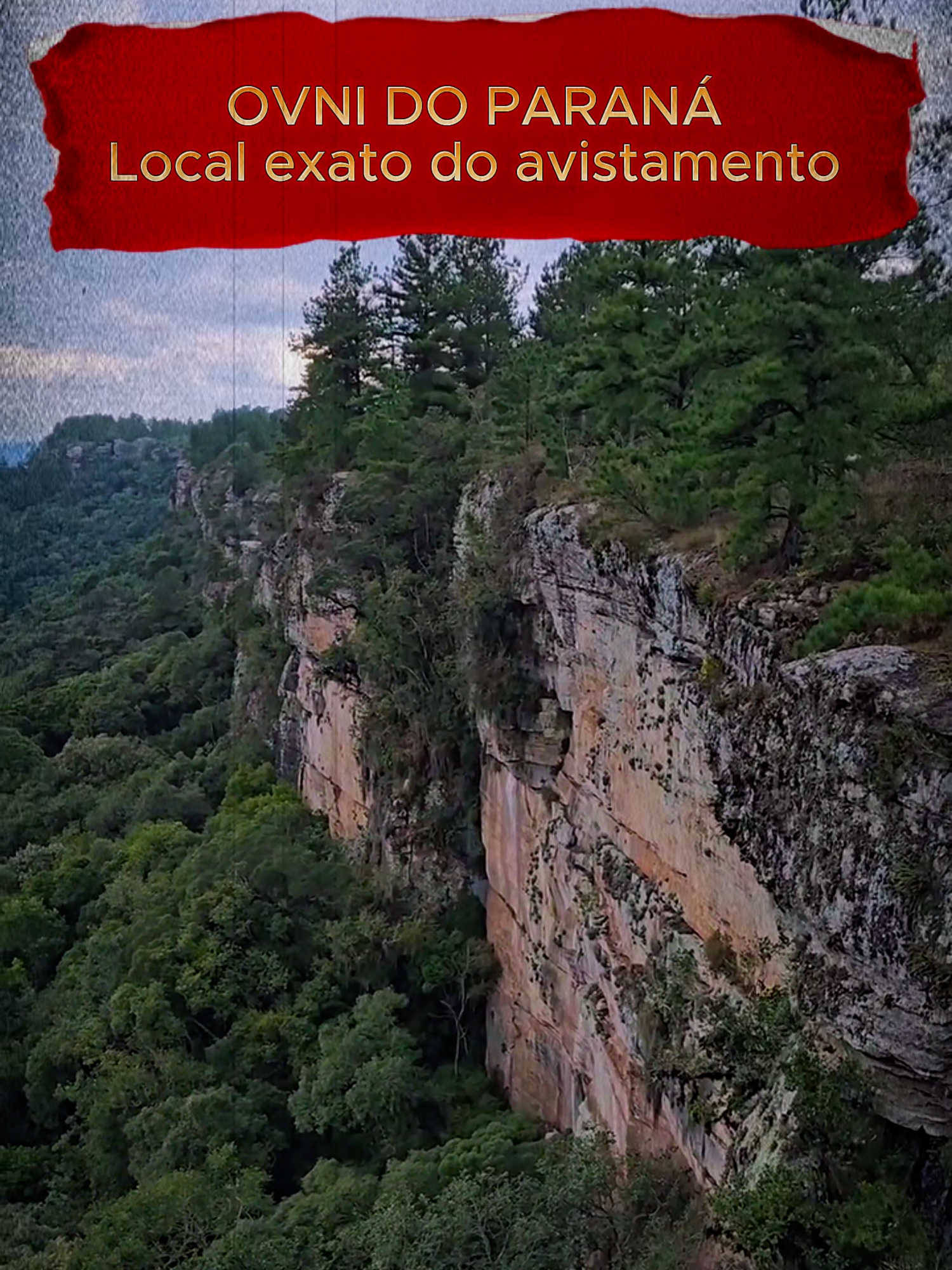 @O Or&aacute;culo