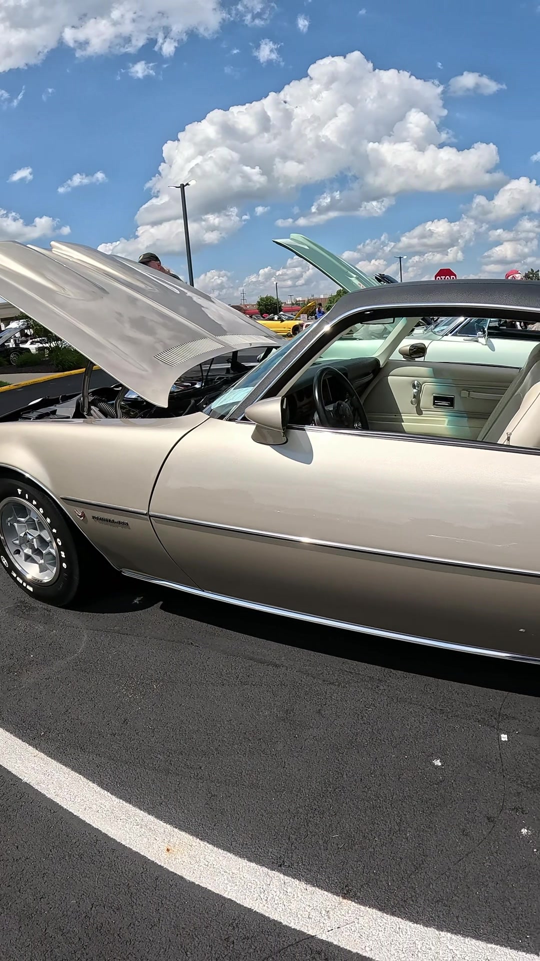 @Cars and Adventures