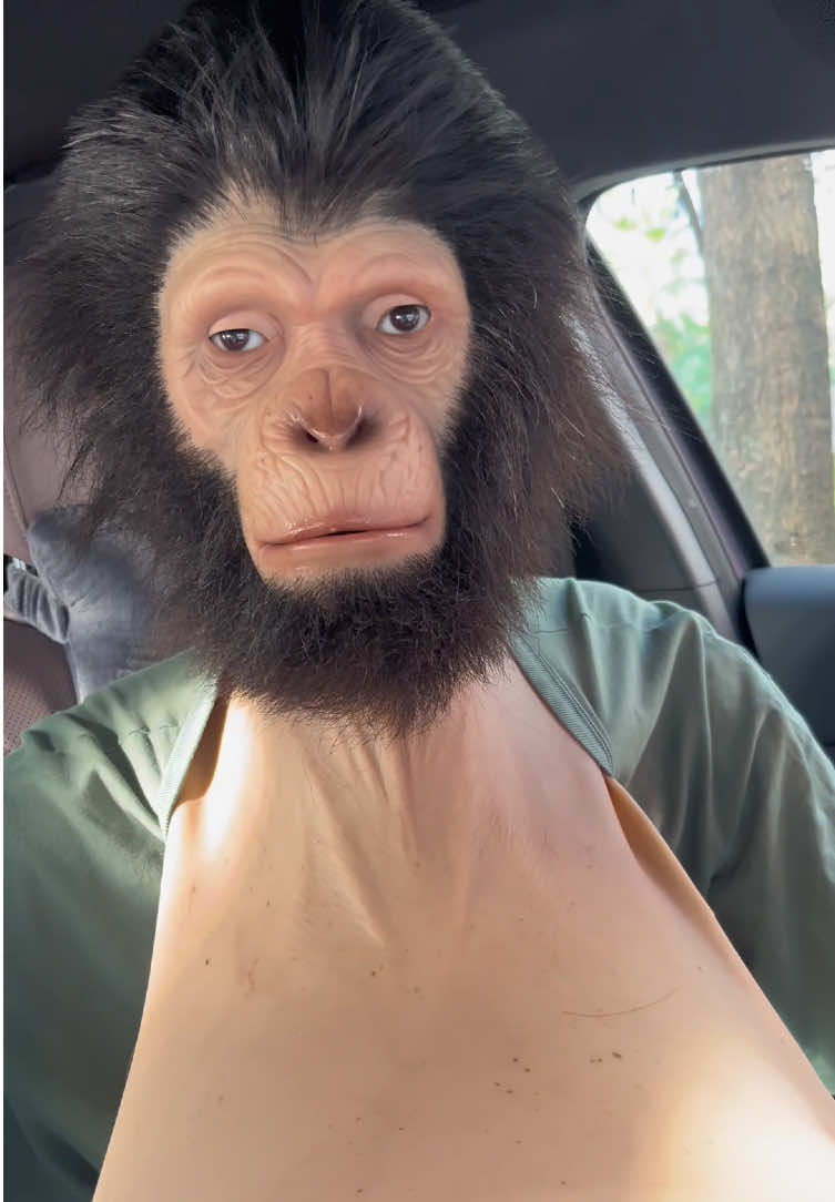 @MaskMystery