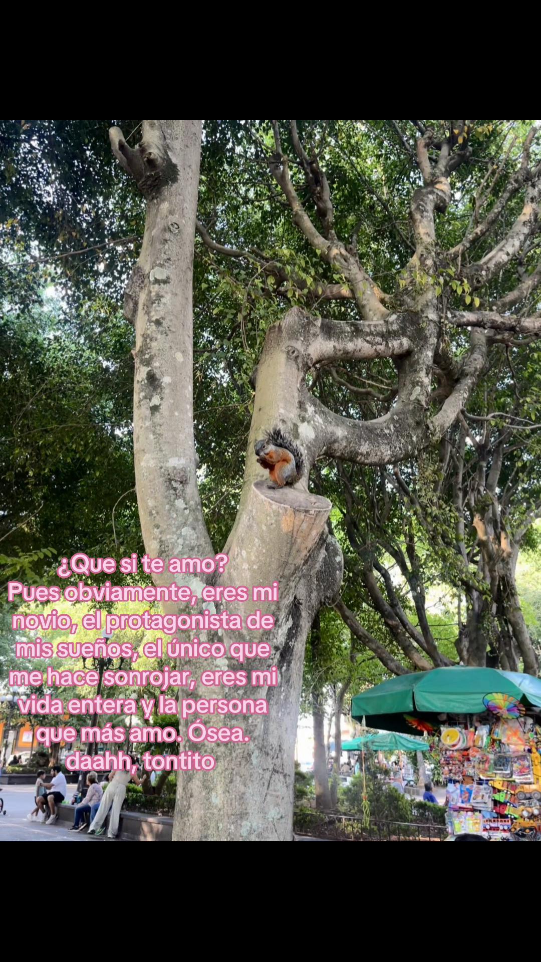 @𝓐𝓵𝓮𝓬𝓲𝓽𝓪 🪐