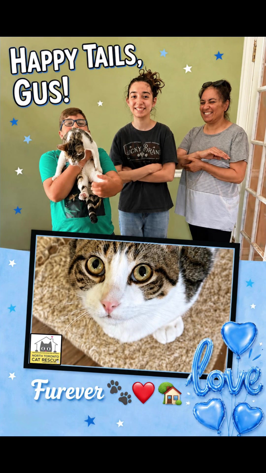 @North Toronto Cat Rescue