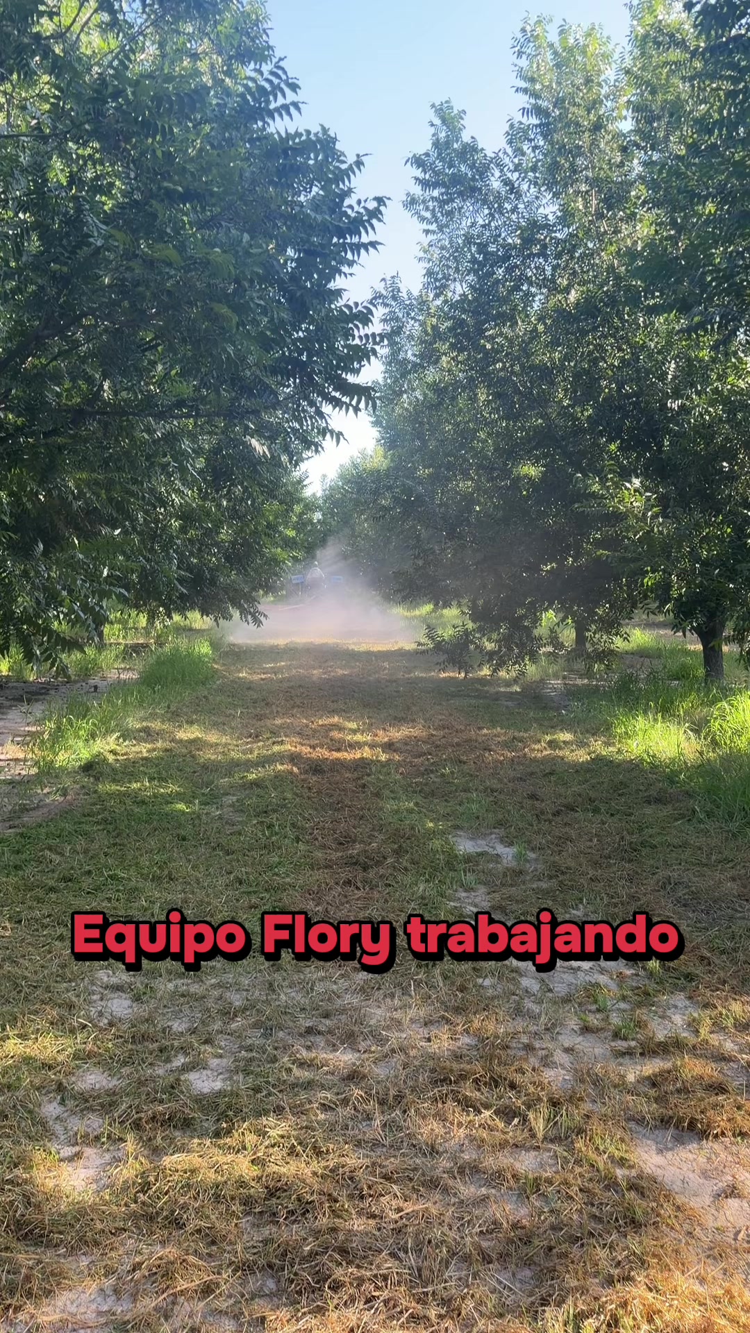 @Pablo Villarreal