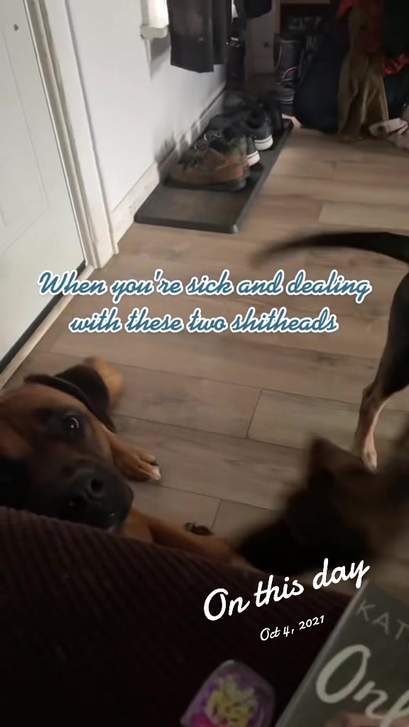 @Ashley 📚🐶