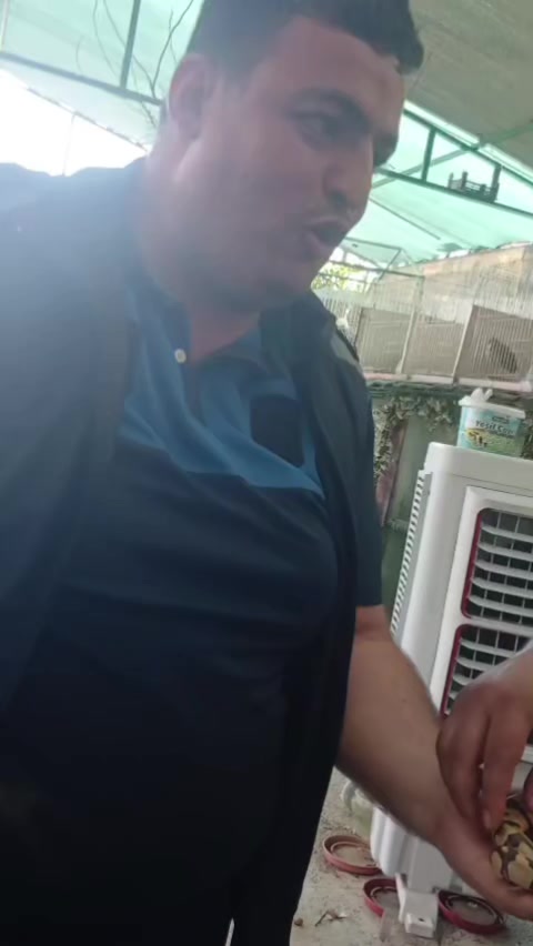 @Ahmet Serhat K&uuml;&ccedil;&uuml;koğlu