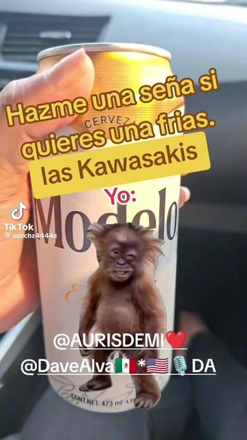 @Andrey Mar Quiroga 🐿️🐿️🐿️