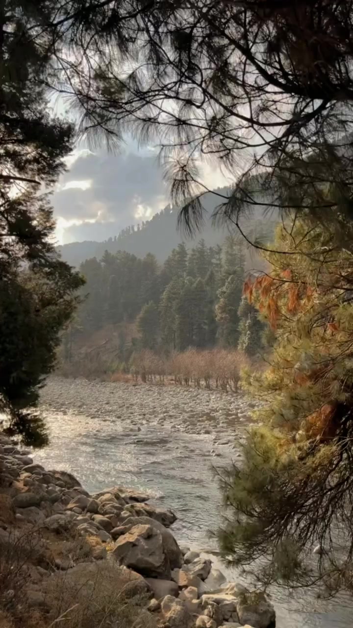 @B7F乛حسيب