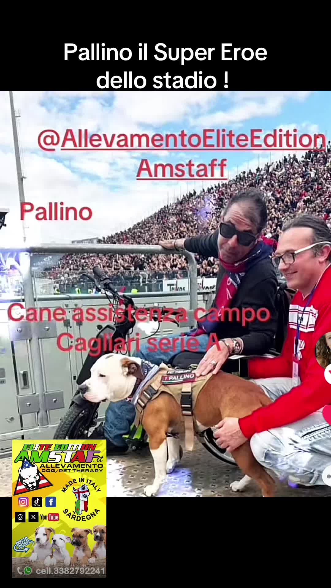 @enea2025