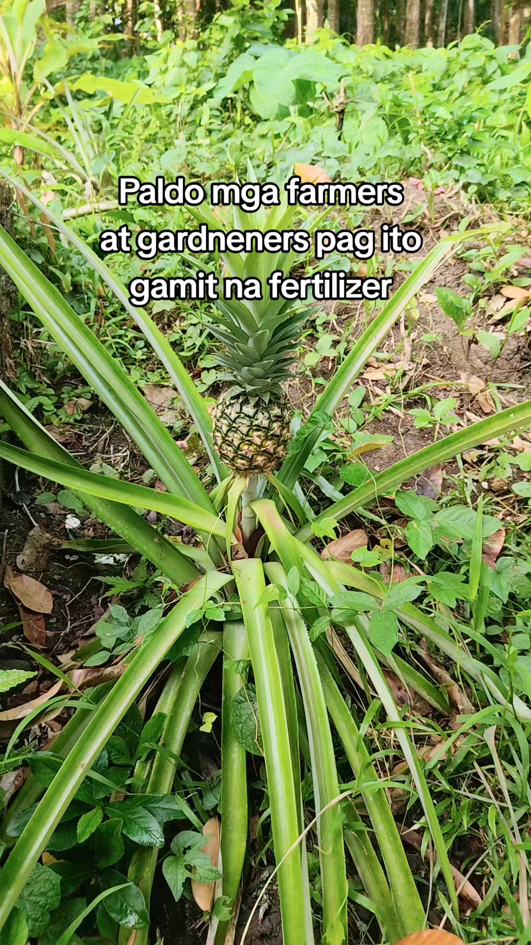 @🧿Jhofinds🍀