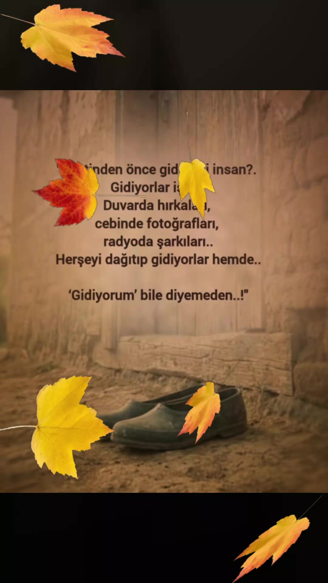 @💗💗  Beyaz kuğuuu 💗💗