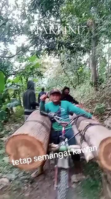 @plat AG Poh suul