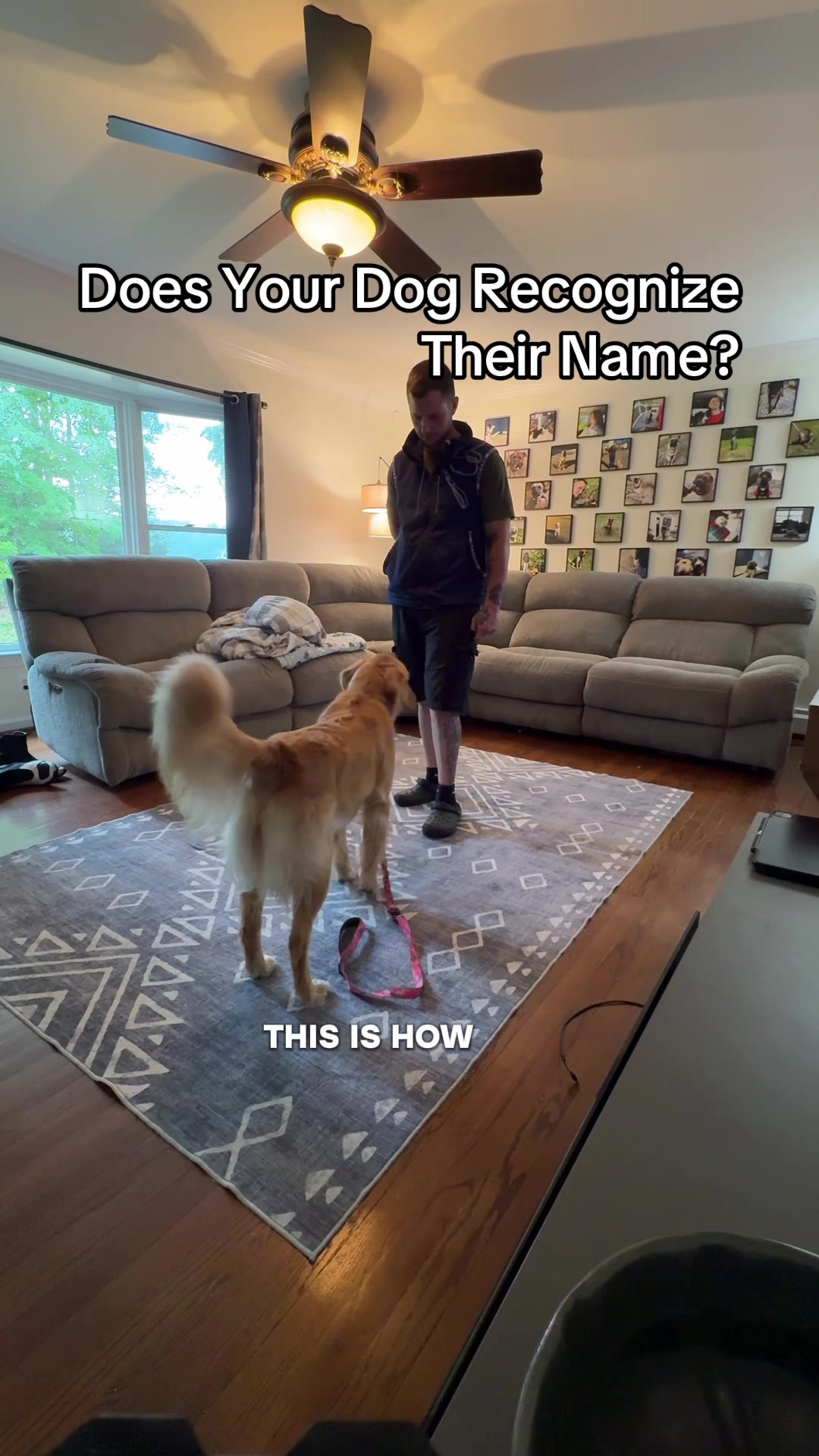 @Best Buddy Dog Trainer LLC