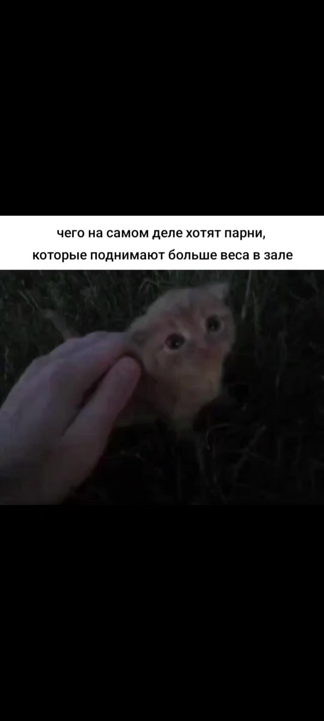 @пузолифтер
