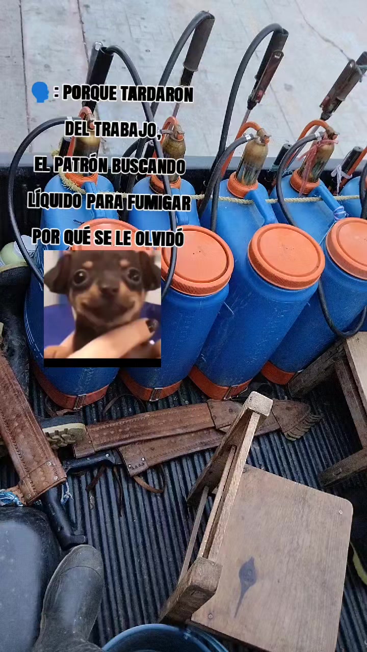 @丂ҜĨ卩卩乇尺