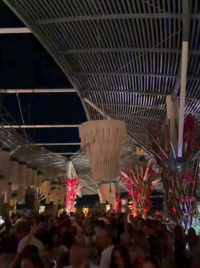 @Vibes X
