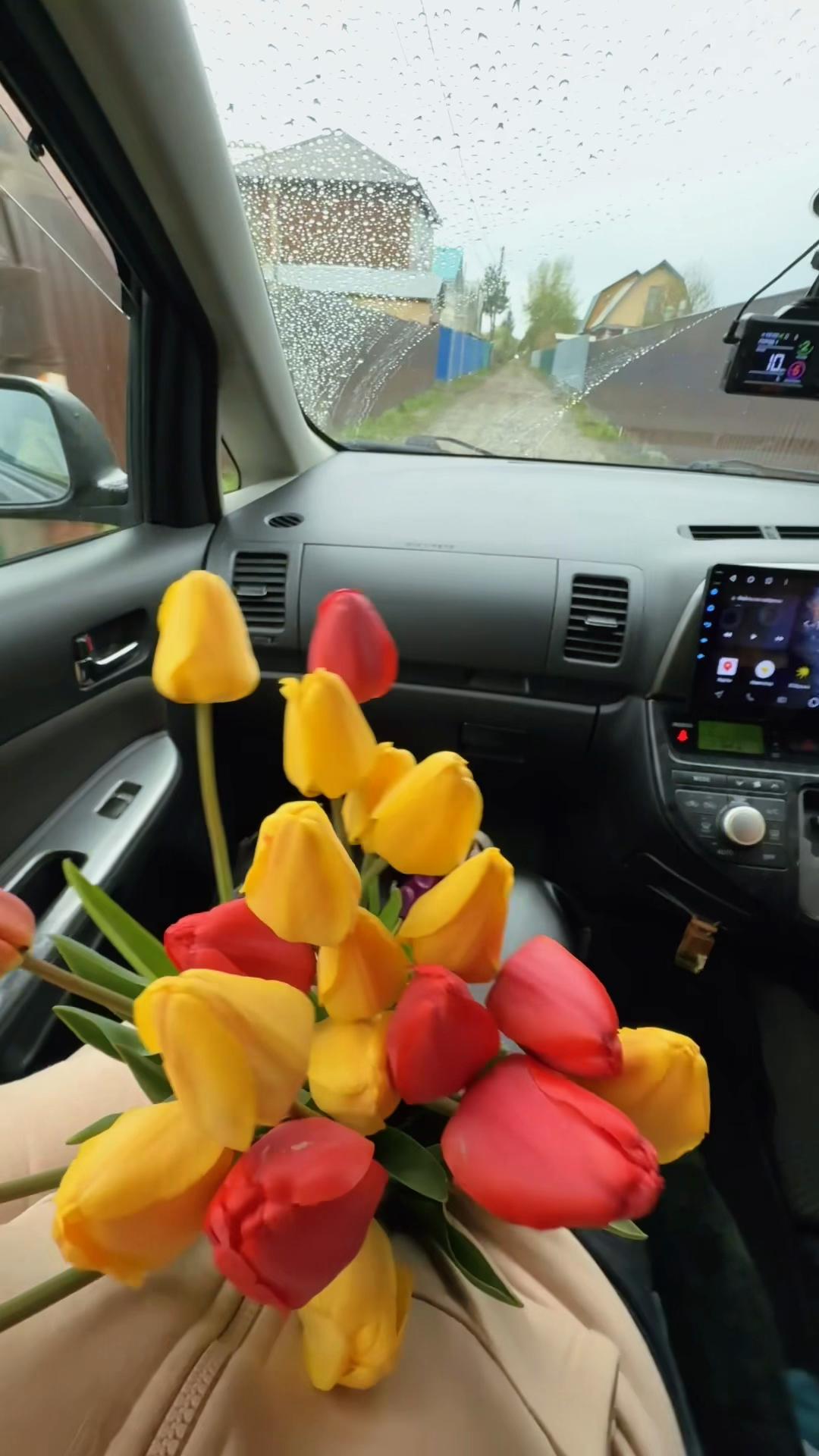 @Елена Андреева