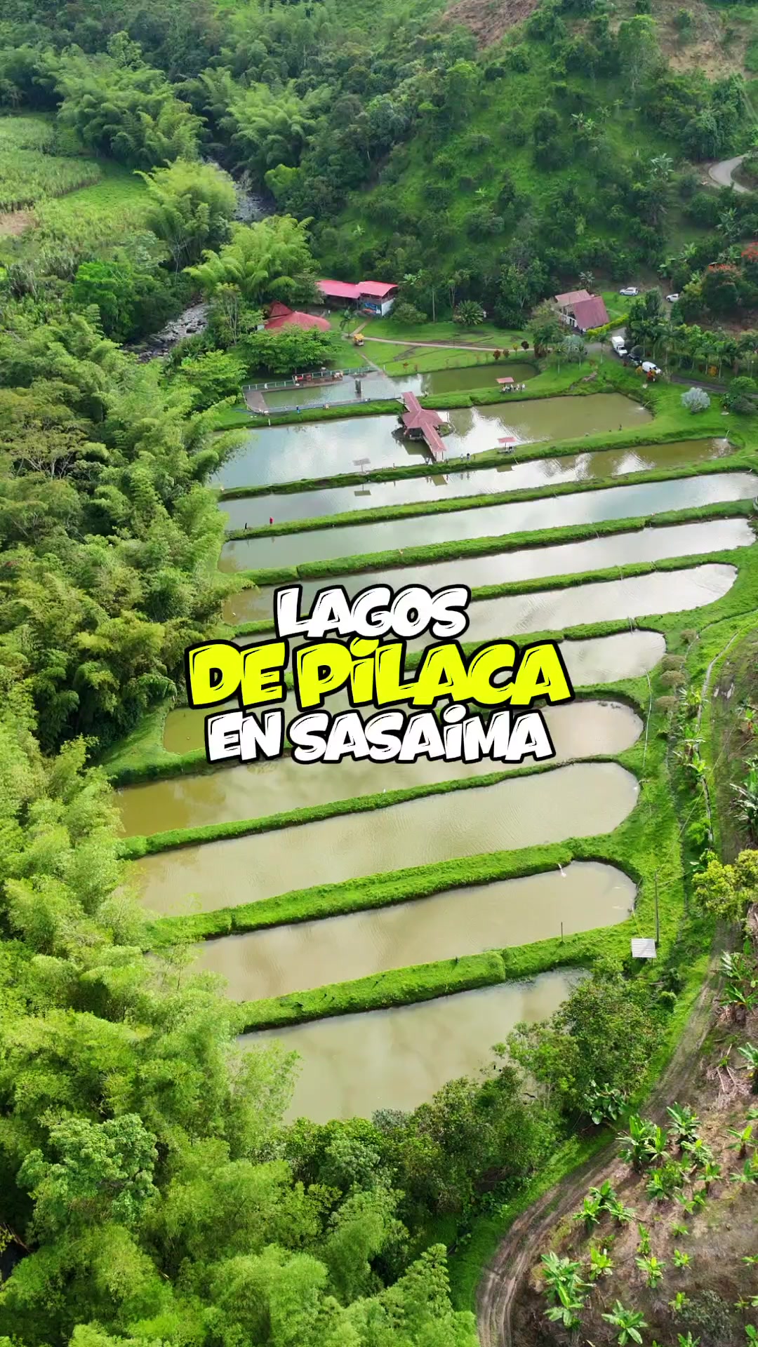 @Losmetaparceros