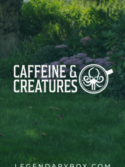 @Caffeine & Legends Book Box