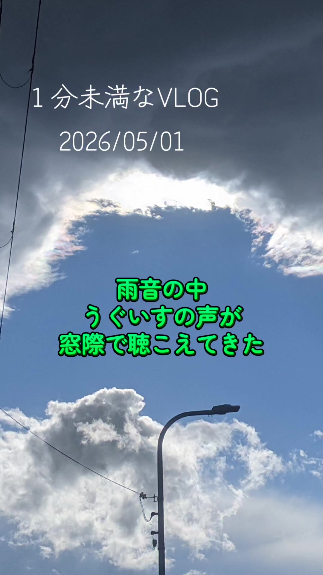 @向日葵