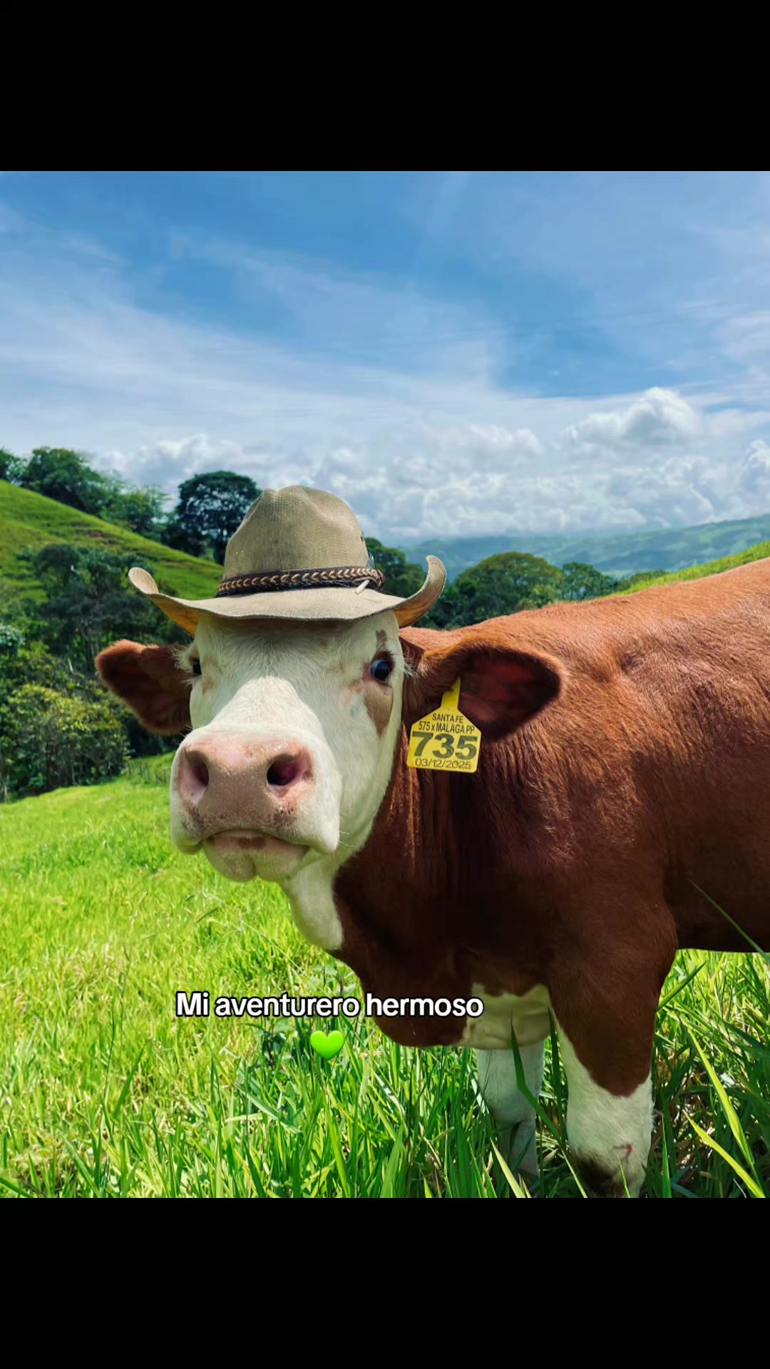 @Lamona29